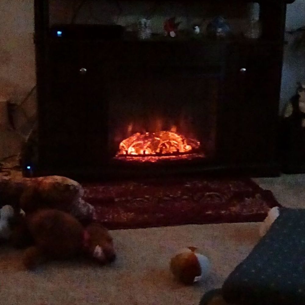 Meet your Posher, Clay